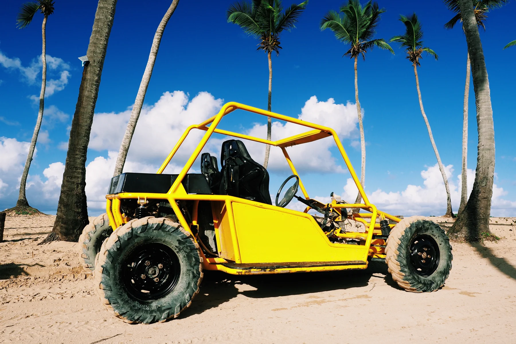 Buggy entre palmeras en Punta Cana
