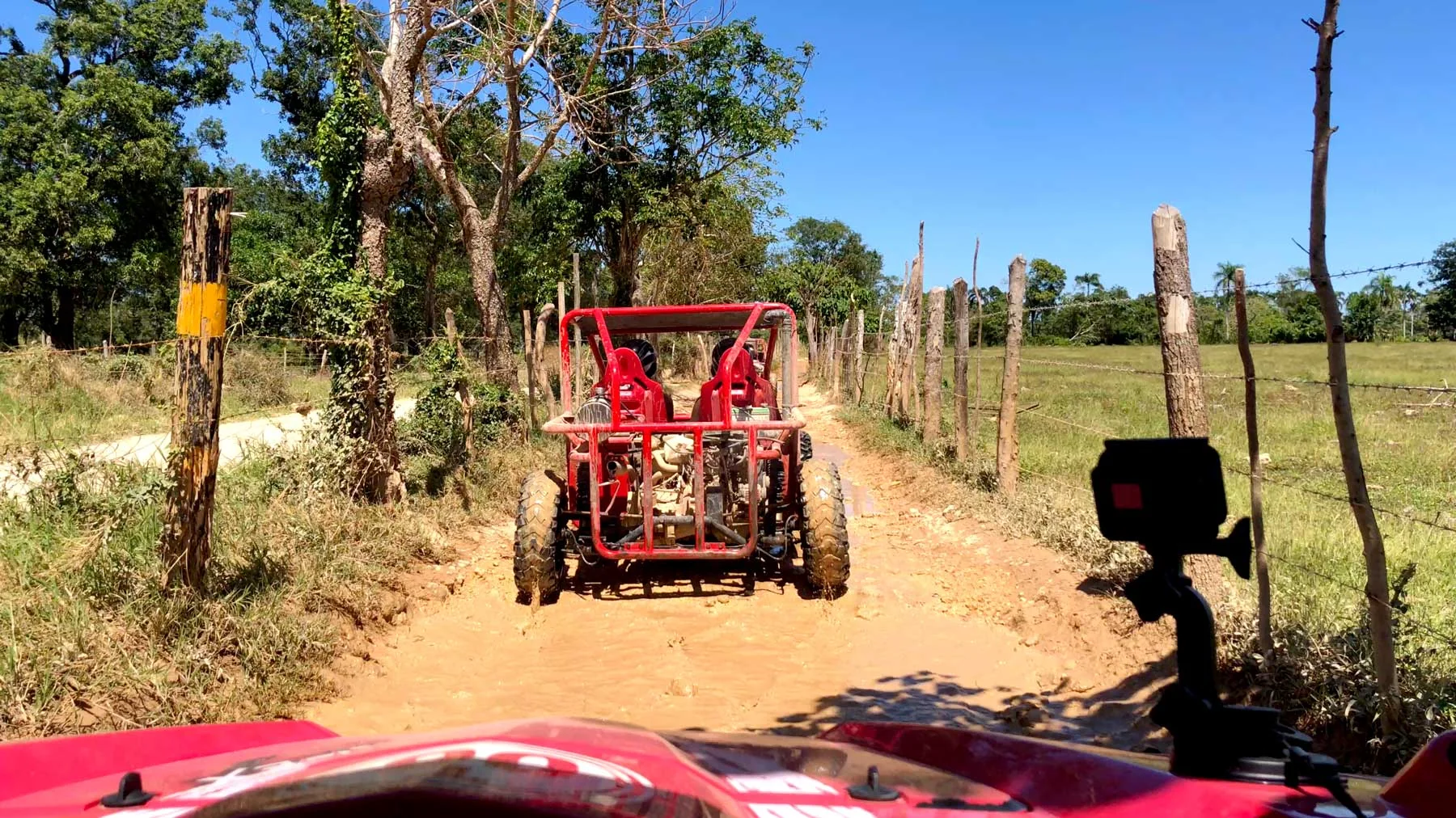 Ruta rural en buggy