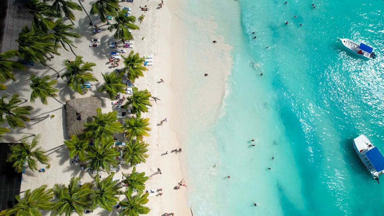 Vista aérea de la playa y palmeras de Isla Saona